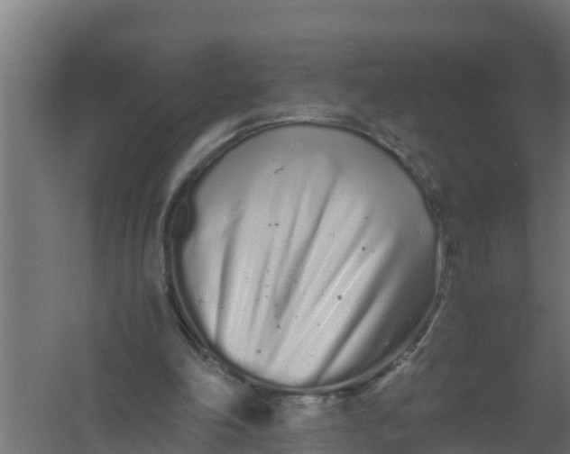 X0000059800198200511041636