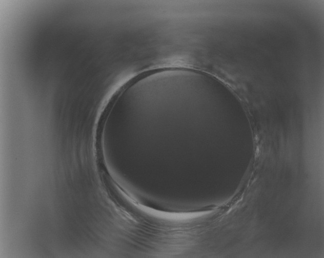 X0000059800200200511041636