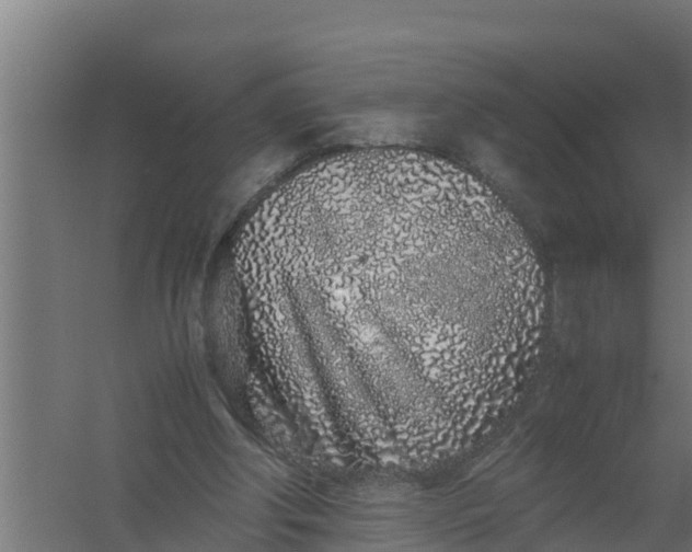 X0000059800202200511041636