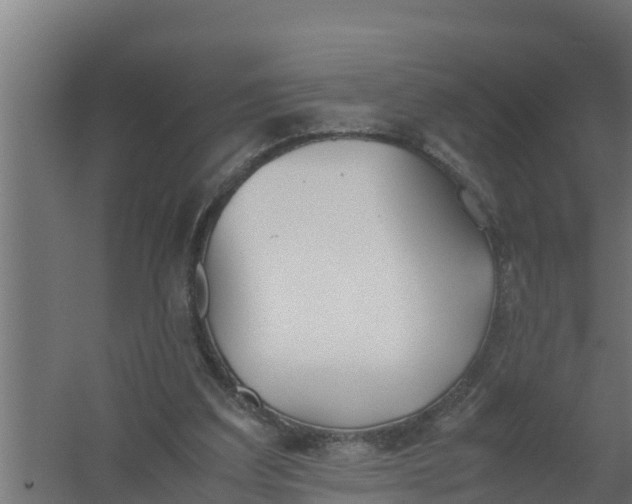 X0000059800203200511041636