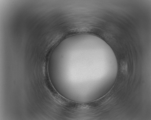 X0000059800206200511041636