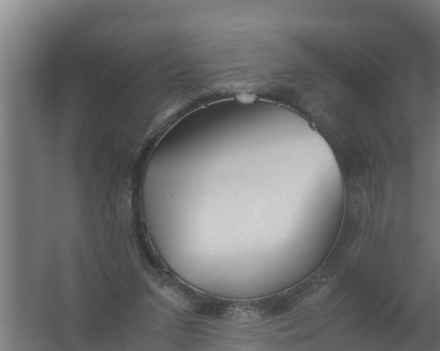 X0000059800207200511041636