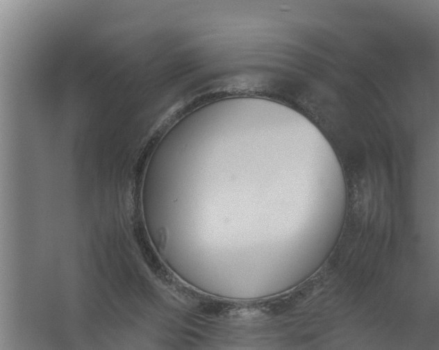 X0000059800208200511041636