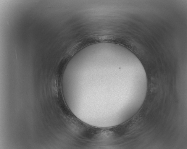 X0000059800210200511041636