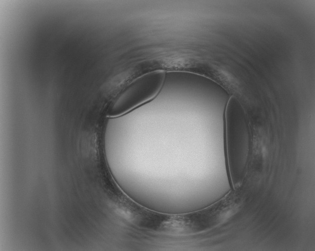 X0000059800211200511041636