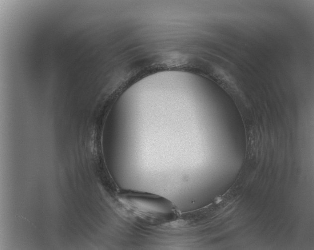 X0000059800212200511041636