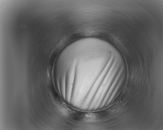 X0000059800214200511041636