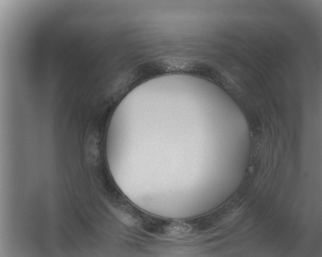 X0000059800215200511041636