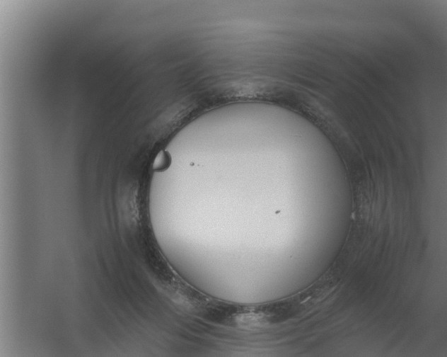 X0000059800216200511041635