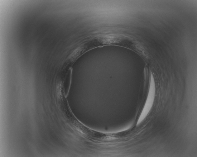 X0000059800219200511041635