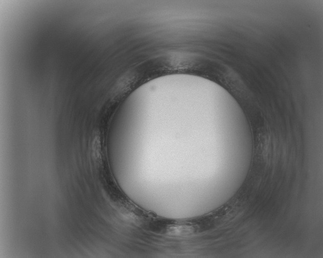 X0000059800220200511041635