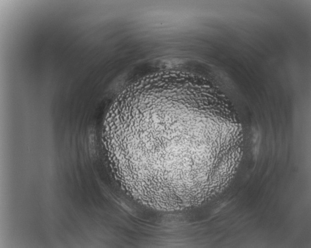 X0000059800222200511041635