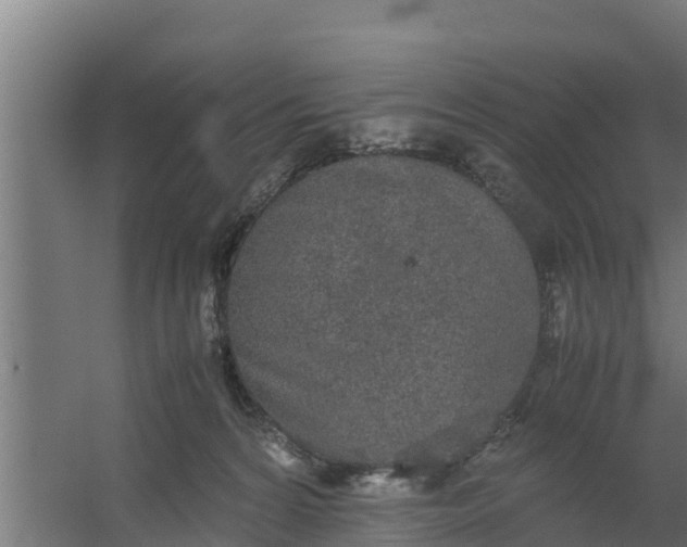 X0000059800224200511041635