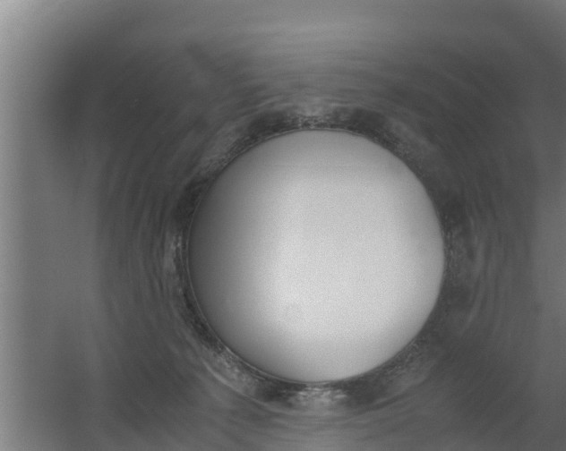 X0000059800225200511041635