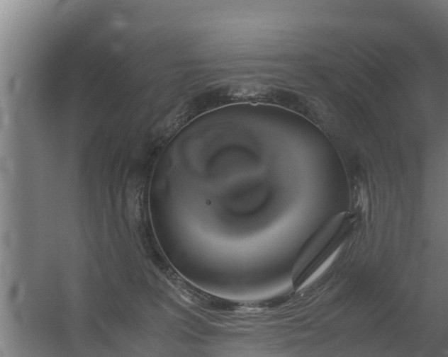 X0000059800227200511041635