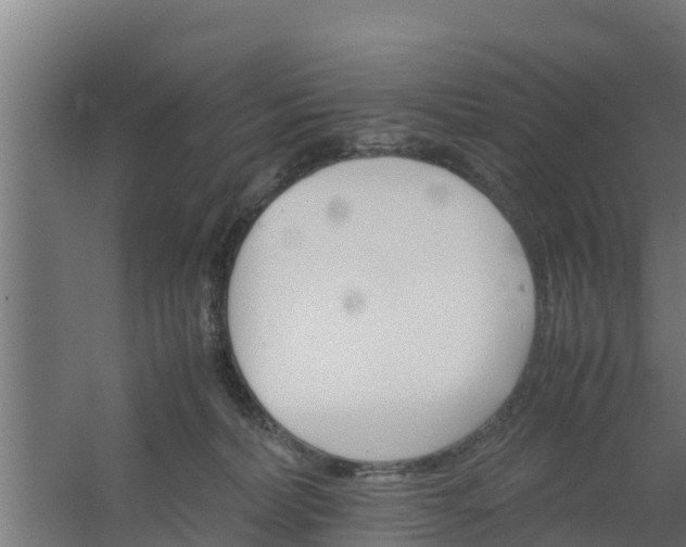 X0000059800228200511041635