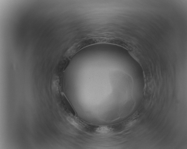 X0000059800231200511041635