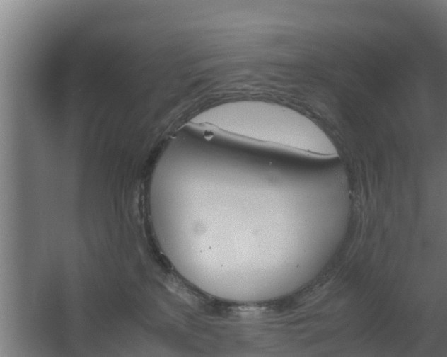 X0000059800233200511041635