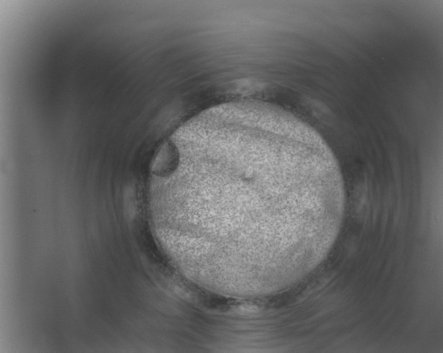 X0000059800236200511041635