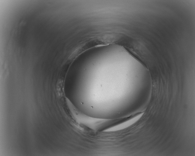 X0000059800237200511041635