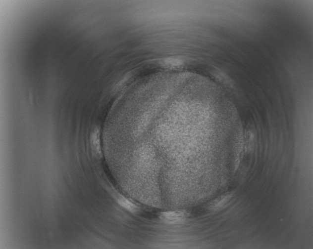 X0000059800238200511041635