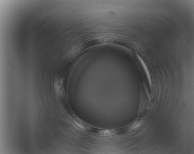 X0000059800239200511041635