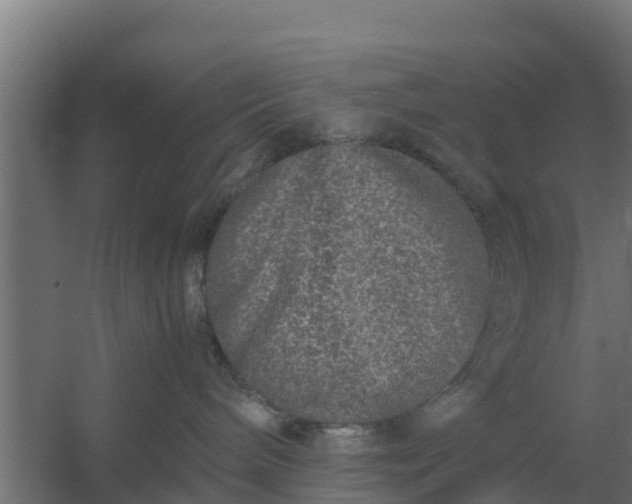 X0000059800240200511041635