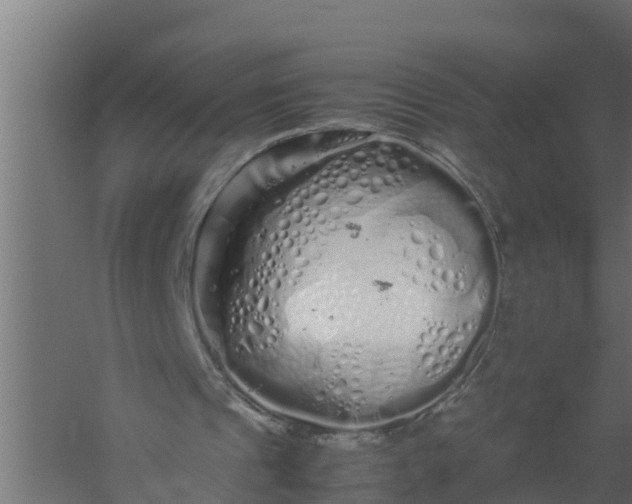 X0000059800241200511041634