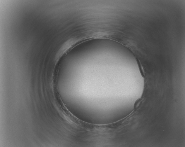 X0000059800242200511041634