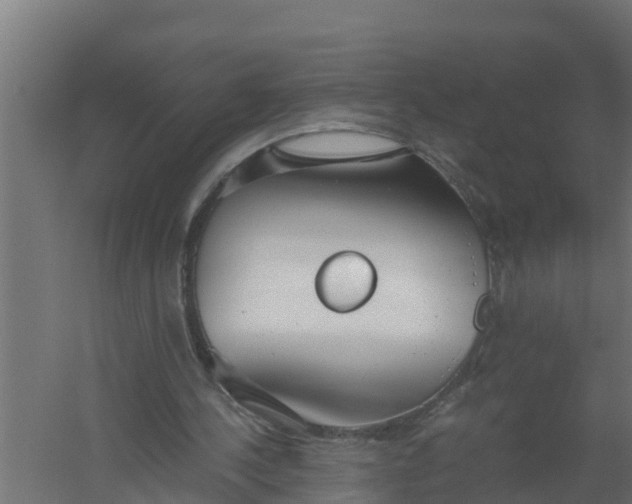 X0000059800244200511041634