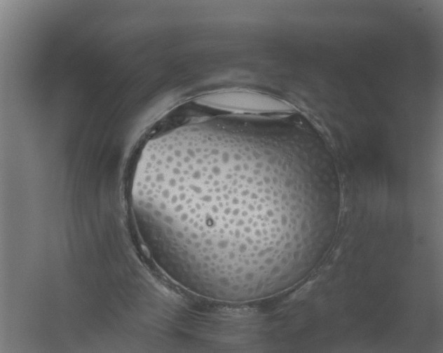 X0000059800245200511041634