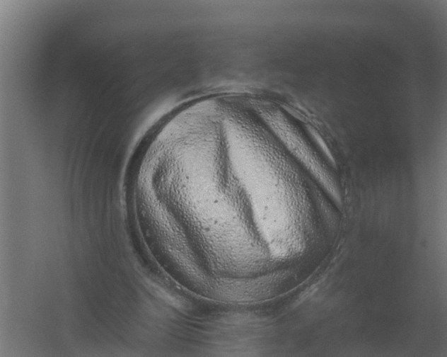 X0000059800246200511041634