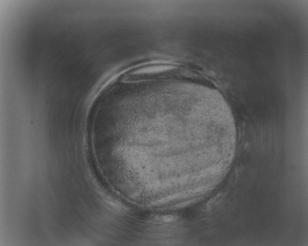 X0000059800247200511041634