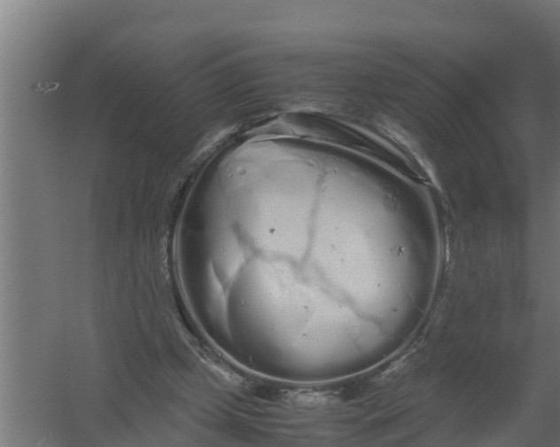 X0000059800249200511041634