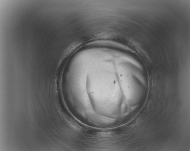 X0000059800250200511041634