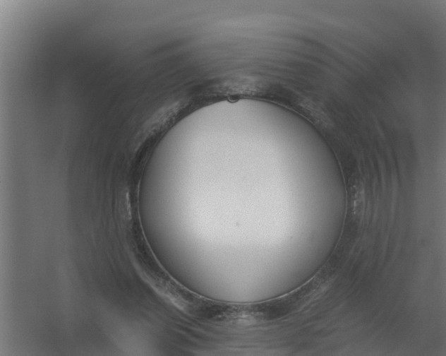 X0000059800254200511041634