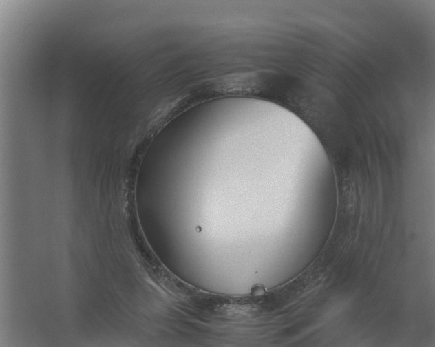 X0000059800255200511041635