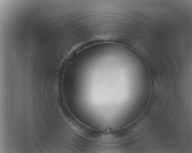 X0000059800256200511041635