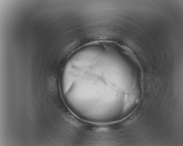 X0000059800258200511041635