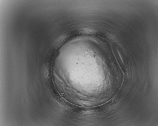 X0000059800259200511041635