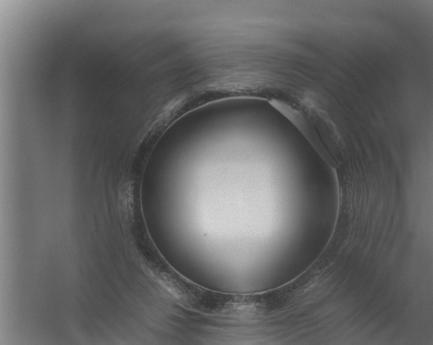 X0000059800260200511041635