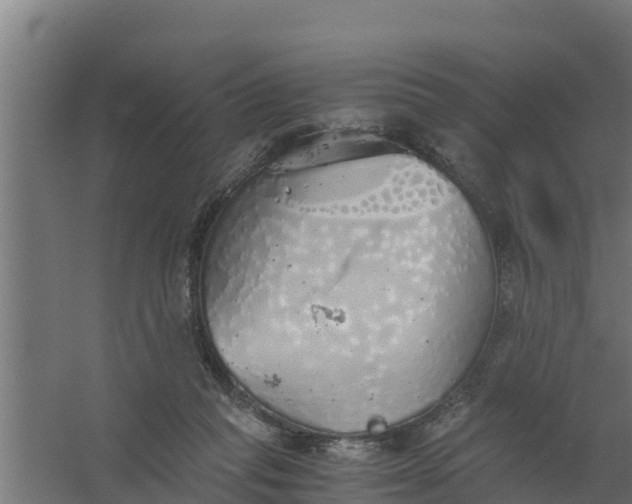 X0000059800261200511041635