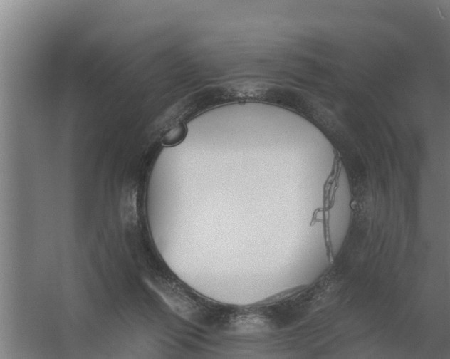 X0000059800262200511041635