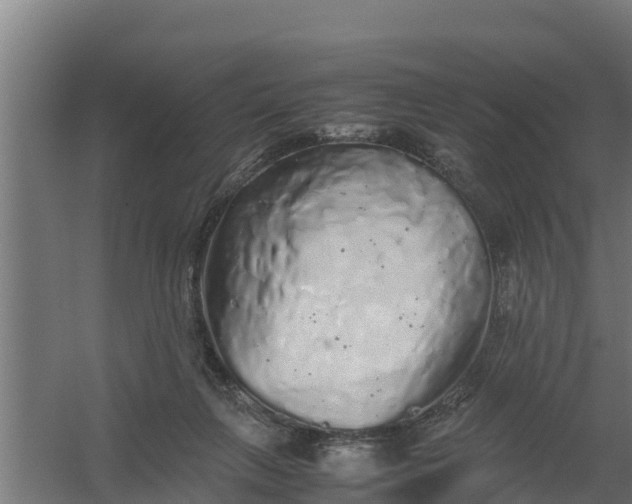 X0000059800263200511041635