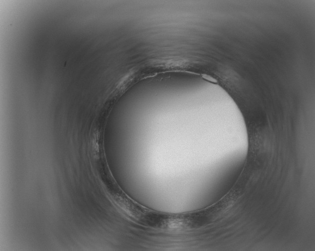 X0000059800264200511041635