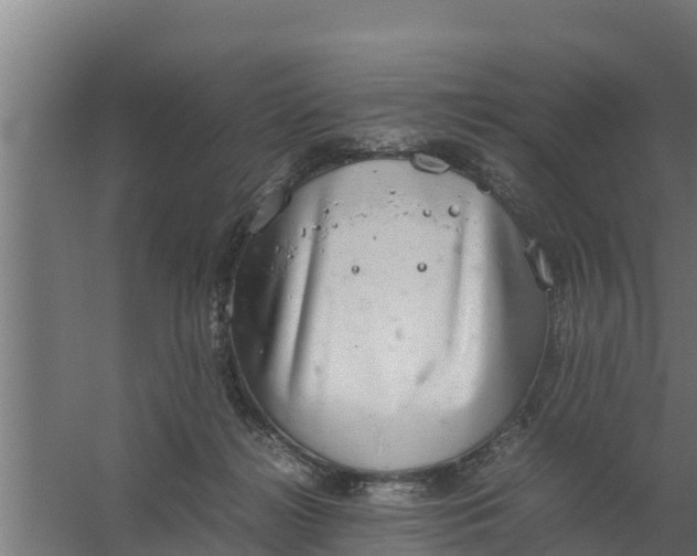 X0000059800268200511041635