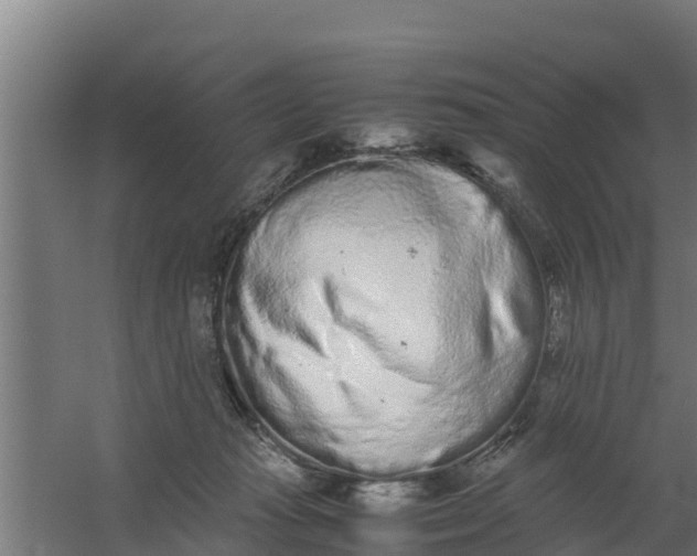 X0000059800269200511041635