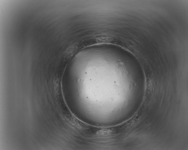 X0000059800271200511041635