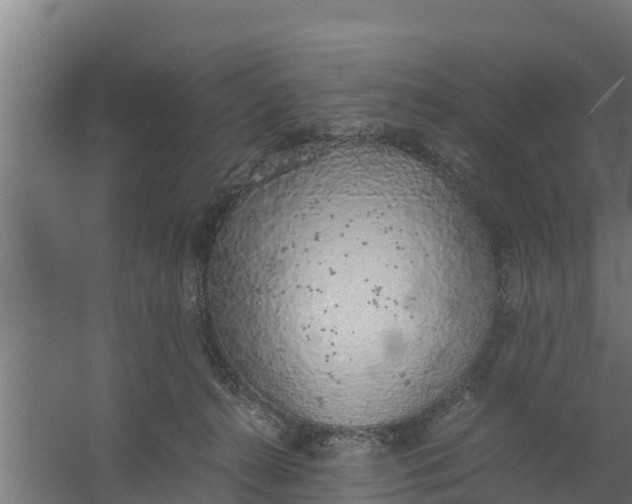 X0000059800272200511041635