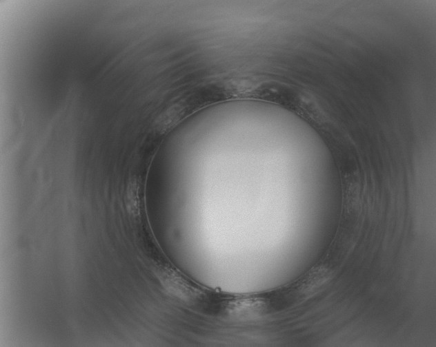 X0000059800274200511041635